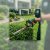 Merrifield Landscaping & Outdoor Services by Patriot Pro Solutions LLC